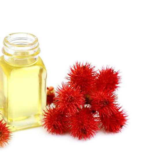 How Organic Castor Oil Treatments Can Benefit Hair?